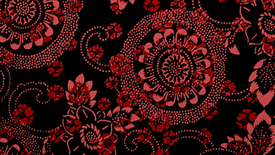 Illustration | イラスト